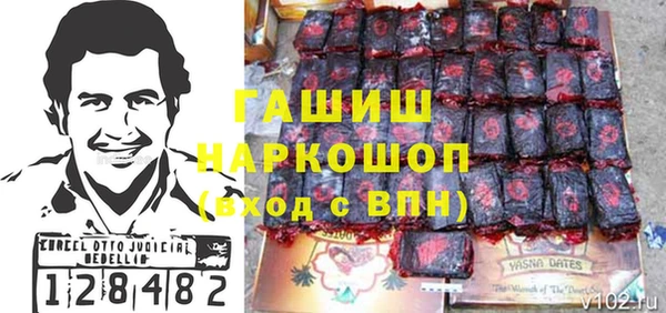 молекула духа Медвежьегорск