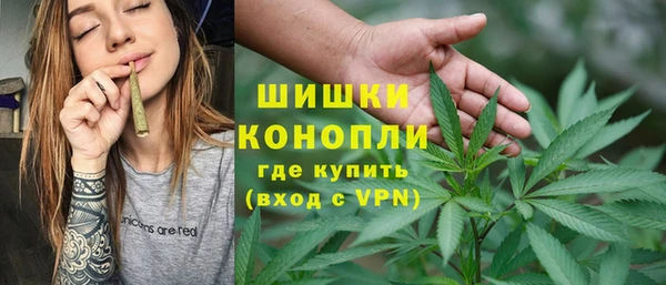 стаф Медногорск