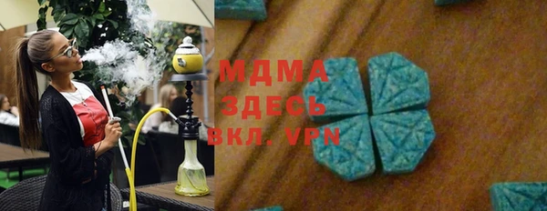 стаф Медногорск