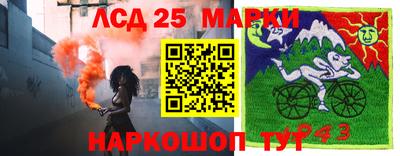 прущие грибы Бийск