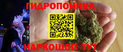 прущие крисы Берёзовский