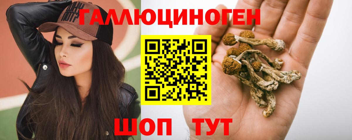 Надым  Галлюциногенные грибы Psilocybe  Вход с VPN 
